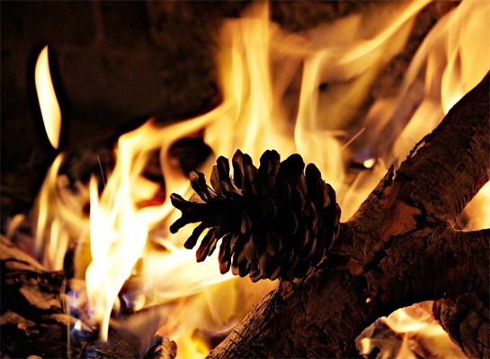 winter fire protection tips